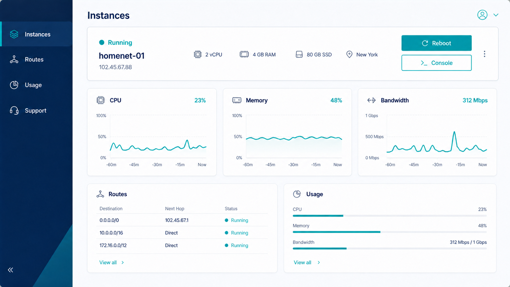 VPS control panel with server resources, routes, and power controls
